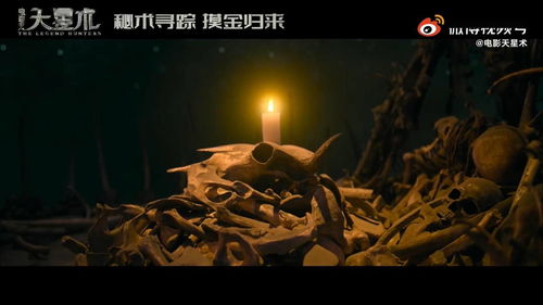 天星术2022定档时间