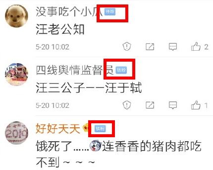 微博铁粉，微博铁粉打卡怎么打