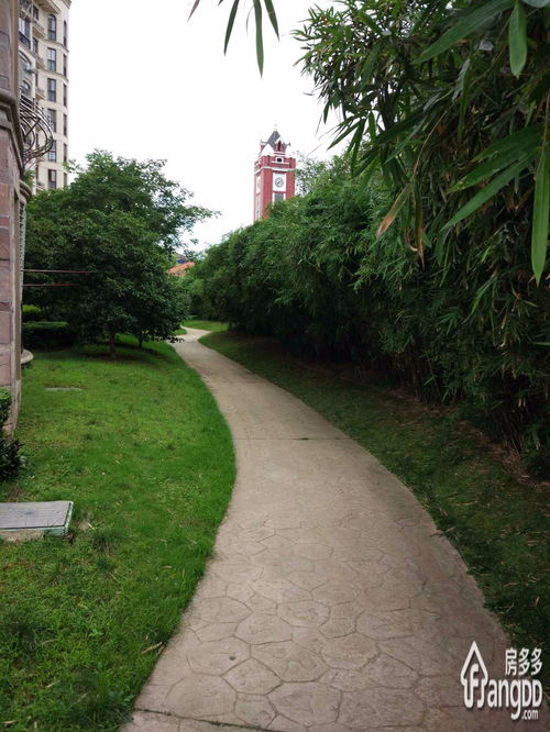 莫泊桑《橄榄园》情节