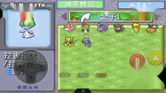 “口袋妖怪漆黑的魅影”可以用哪些宠物?
