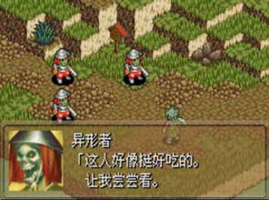 鬼武者战略版多少关