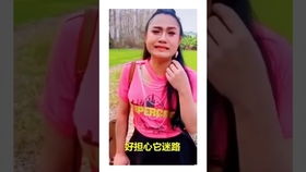 塞班梗，塞班梗视频
