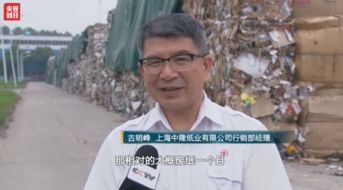 洛阳纸贵的主人公是谁-简短介绍