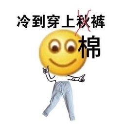 微信表情里天冷是哪一个表情