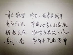 堆砌辞藻，堆砌辞藻是什么意思