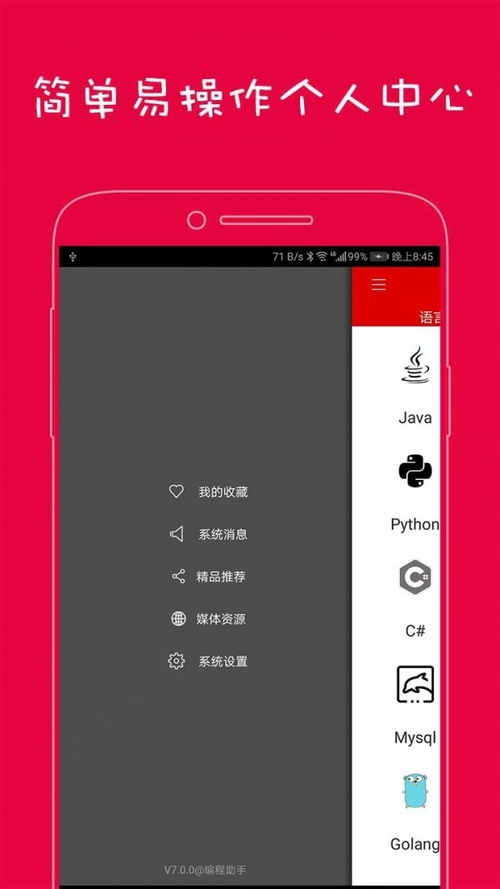 手机软件的主流编程语言是什么?