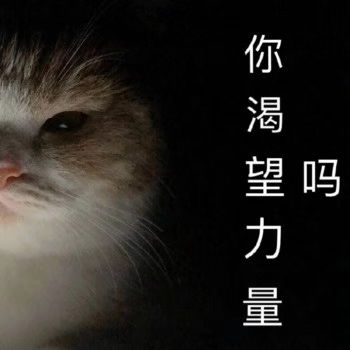 你渴望力量吗，你渴望力量吗 不我渴望乃子