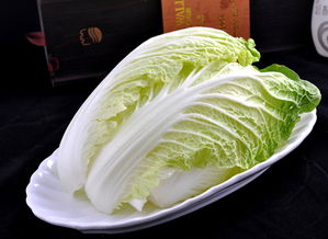 大白菜系统官网，大白菜系统官网首页