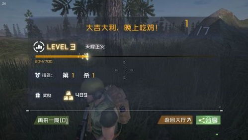 吃鸡攻略，吃鸡攻略和技巧