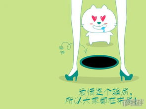 笨笨猫，笨笨猫多层板