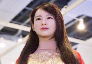 机器人佳佳，机器人佳佳多少钱