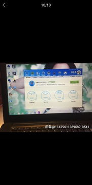 闲鱼二手网官网电脑版，闲鱼二手网官网电脑版下载