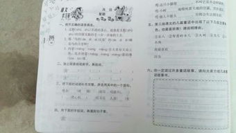 寒假作业答案，寒假作业答案五上