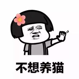 我养你啊表情包，易烊千玺我养你啊表情包