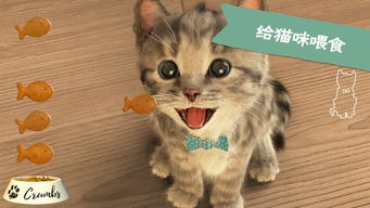 猫咪ios