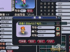 梦幻西游炼妖攻略，梦幻西游炼妖攻略2021