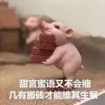 百度知道 - 信息提示