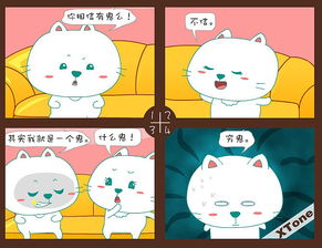笨笨猫的板材是名牌吗