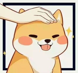 单身狗头像，单身狗头像男 霸气