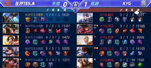 长沙tes，长沙tes转会