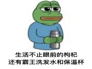鲁提辖拳打镇关西概括起因经过结果