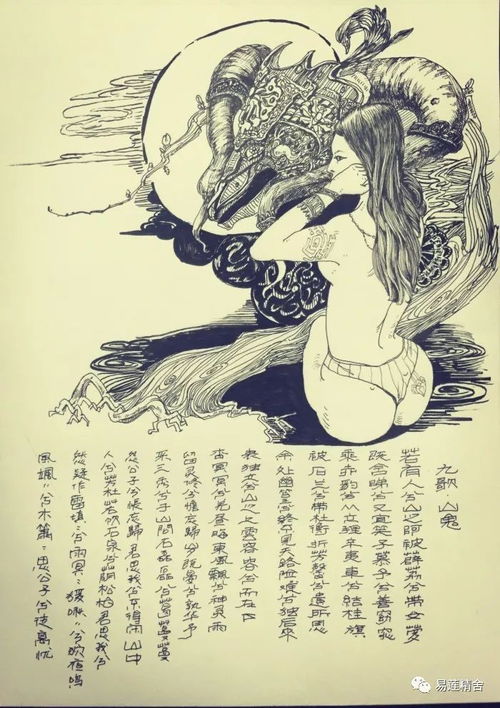 地水火风，地水火风分别代表什么