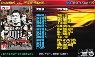 热血无赖修改器，热血无赖修改器风灵月影用不了