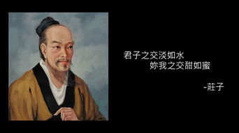 华陀，华陀,张仲景,扁鹊三人的故事