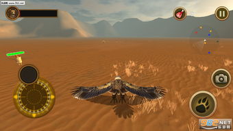 desert是什么意思