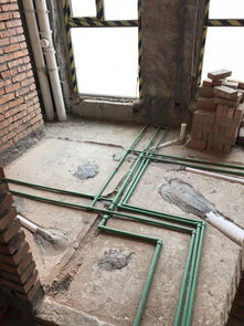 房角石和直角石有什么区别