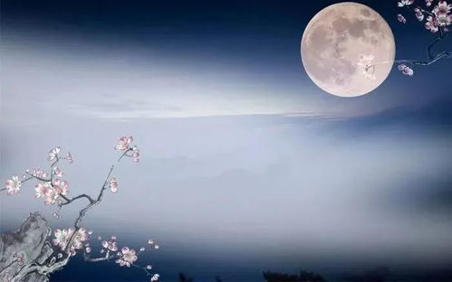 秋月无边,秋月无边,红尘无岸的意思