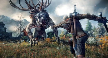 巫师3危险游戏攻略