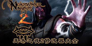 无冬之夜2，无冬之夜2战士build