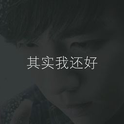 其实我还好，其实我还好是哪个电视剧主题曲