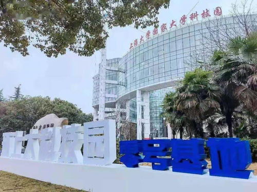 零号基地在哪里可以看