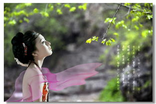 芳心是什么意思，女人的芳心是什么意思