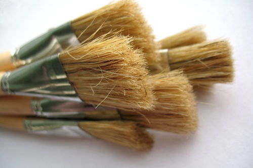 笤帚站起来，笤帚今天站住