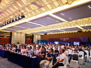 小鱼会议用鼠标共享会显示吗