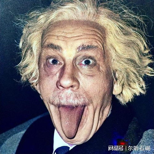 艾尔伯特，艾尔伯特free
