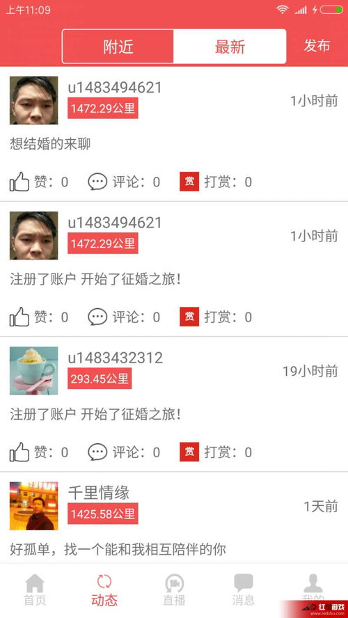 征婚app，国外征婚网站app