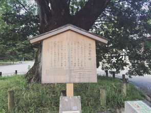 为什么安倍晴明后人姓土御门