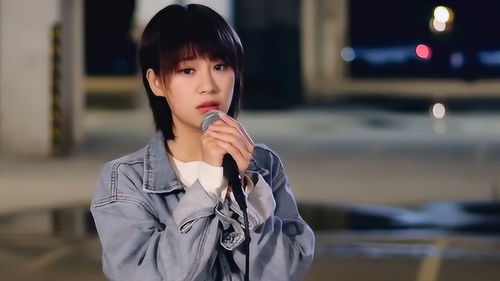 胡广生歌曲