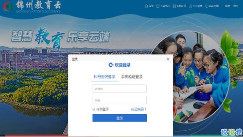 锦州教育云平台冻结账号怎么办