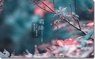 霜降吃什么,霜降吃什么风俗食物