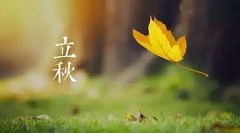 夏末秋至，夏末秋至完整视频