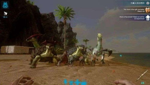 方舟手游怎么，方舟手游怎么输入代码指令