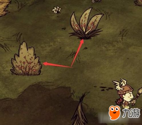 饥荒浆果丛代码，饥荒浆果丛代码是多少