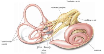 民初奇人传谛听之主六耳是谁 你知道吗