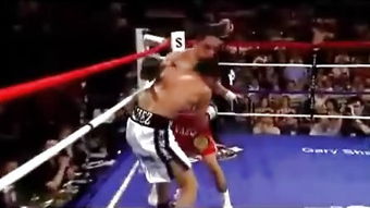 拳击格斗，拳击格斗视频