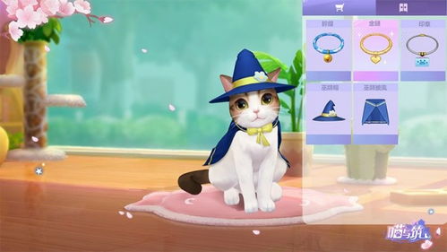 喵与筑为什么注册不了